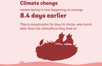 State of the UK's Woods and Trees Phenology infographic